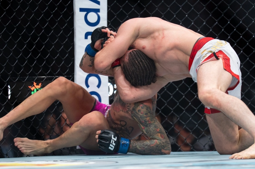 Momento de acción en UFC 316 con Merab Dvalishvili controlando a Sean O'Malley sobre la lona